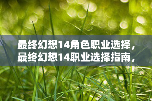 最终幻想14角色职业选择，最终幻想14职业选择指南，哪个职业最适合你？