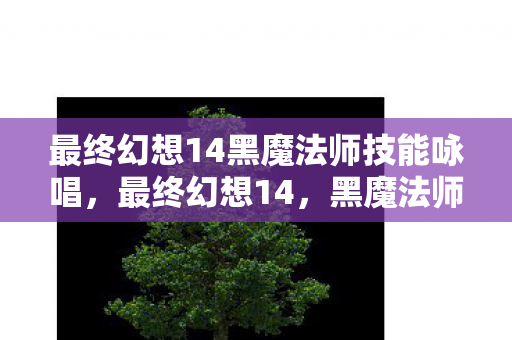 最终幻想14黑魔法师技能咏唱,最终幻想14,黑魔法师的奥秘与魅力 最终幻想14黑魔法师技能咏唱,最终幻想14,黑魔法师的奥秘与魅力