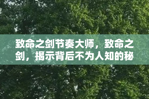 致命之剑节奏大师，致命之剑，揭示背后不为人知的秘密