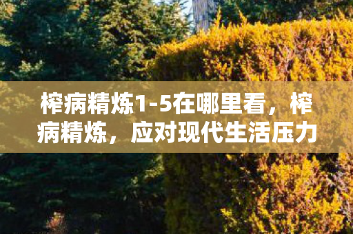 榨病精炼1-5在哪里看,榨病精炼,应对现代生活压力的新策略 榨病精炼1-5在哪里看,榨病精炼,应对现代生活压力的新策略