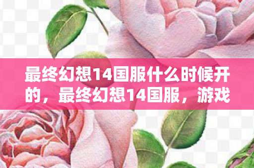 最终幻想14国服什么时候开的,最终幻想14国服,游戏深度解析与玩家心得分享 最终幻想14国服什么时候开的,最终幻想14国服,游戏深度解析与玩家心得分享