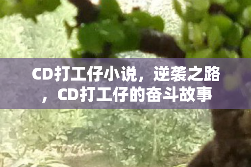 CD打工仔小说，逆袭之路，CD打工仔的奋斗故事