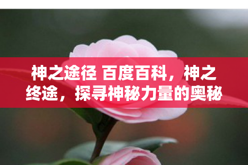 神之途径 百度百科,神之终途,探寻神秘力量的奥秘 神之途径 百度百科,神之终途,探寻神秘力量的奥秘