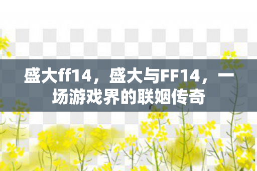 盛大ff14,盛大与FF14,一场游戏界的联姻传奇 盛大ff14,盛大与FF14,一场游戏界的联姻传奇