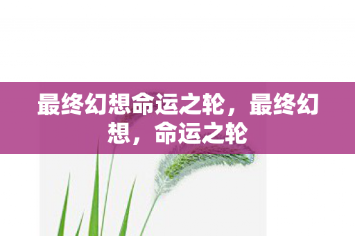 最终幻想命运之轮,最终幻想,命运之轮 最终幻想命运之轮,最终幻想,命运之轮