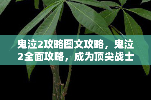 鬼泣2攻略图文攻略，鬼泣2全面攻略，成为顶尖战士的秘诀