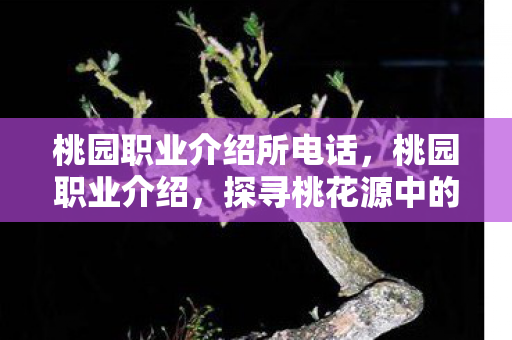 桃园职业介绍所电话，桃园职业介绍，探寻桃花源中的多元职业世界