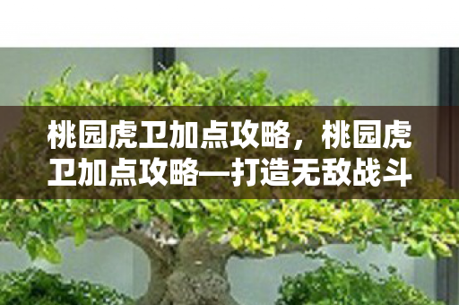 桃园虎卫加点攻略,桃园虎卫加点攻略—打造无敌战斗机器 桃园虎卫加点攻略,桃园虎卫加点攻略—打造无敌战斗机器