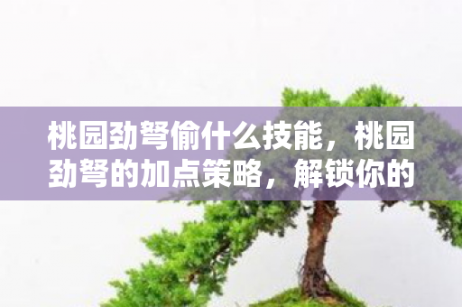 桃园劲弩偷什么技能,桃园劲弩的加点策略,解锁你的英雄潜能 桃园劲弩偷什么技能,桃园劲弩的加点策略,解锁你的英雄潜能