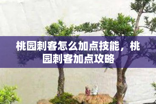 桃园刺客怎么加点技能,桃园刺客加点攻略 桃园刺客怎么加点技能,桃园刺客加点攻略