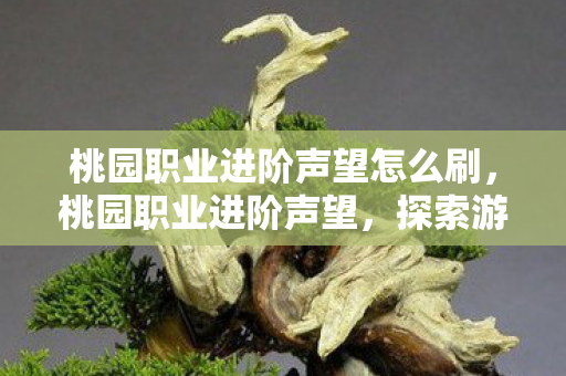 桃园职业进阶声望怎么刷,桃园职业进阶声望,探索游戏内外的荣耀之路 桃园职业进阶声望怎么刷,桃园职业进阶声望,探索游戏内外的荣耀之路
