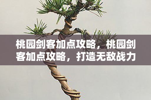 桃园剑客加点攻略,桃园剑客加点攻略,打造无敌战力组合! 桃园剑客加点攻略,桃园剑客加点攻略,打造无敌战力组合!