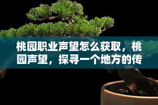桃园职业声望怎么获取,桃园声望,探寻一个地方的传奇与魅力 桃园职业声望怎么获取,桃园声望,探寻一个地方的传奇与魅力