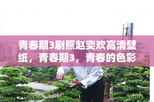 青春期3剧照赵奕欢高清壁纸,青春期3,青春的色彩与成长的印记 青春期3剧照赵奕欢高清壁纸,青春期3,青春的色彩与成长的印记