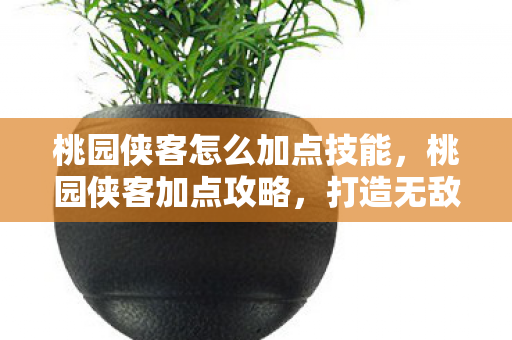 桃园侠客怎么加点技能,桃园侠客加点攻略,打造无敌战力组合 桃园侠客怎么加点技能,桃园侠客加点攻略,打造无敌战力组合