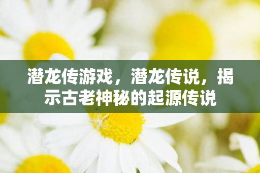 潜龙传游戏，潜龙传说，揭示古老神秘的起源传说