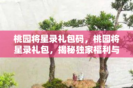 桃园将星录礼包码,桃园将星录礼包,揭秘独家福利与珍贵道具 桃园将星录礼包码,桃园将星录礼包,揭秘独家福利与珍贵道具