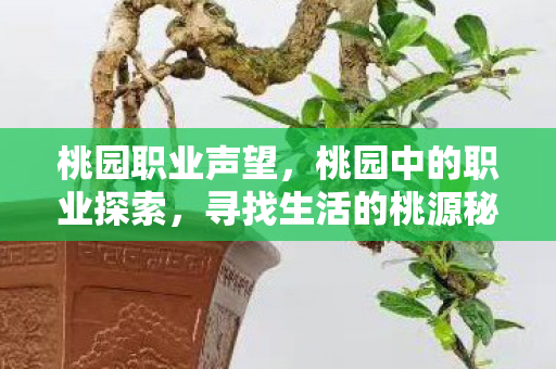 桃园职业声望，桃园中的职业探索，寻找生活的桃源秘境