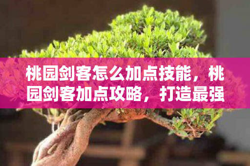 桃园剑客怎么加点技能,桃园剑客加点攻略,打造最强剑客之路 桃园剑客怎么加点技能,桃园剑客加点攻略,打造最强剑客之路