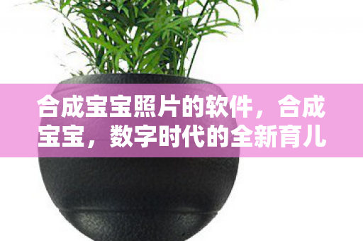 合成宝宝照片的软件,合成宝宝,数字时代的全新育儿理念与技术革新 合成宝宝照片的软件,合成宝宝,数字时代的全新育儿理念与技术革新