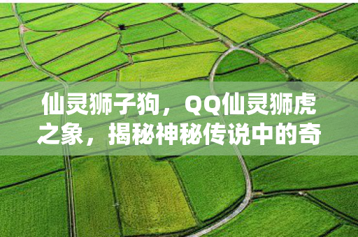 仙灵狮子狗,QQ仙灵狮虎之象,揭秘神秘传说中的奇幻世界 仙灵狮子狗,QQ仙灵狮虎之象,揭秘神秘传说中的奇幻世界