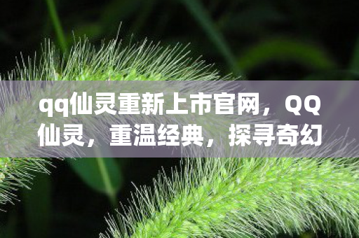 qq仙灵重新上市官网,QQ仙灵,重温经典,探寻奇幻世界 qq仙灵重新上市官网,QQ仙灵,重温经典,探寻奇幻世界
