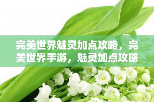 完美世界魅灵加点攻略,完美世界手游,魅灵加点攻略大揭秘 完美世界魅灵加点攻略,完美世界手游,魅灵加点攻略大揭秘