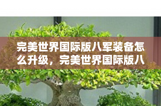 完美世界国际版八军装备怎么升级,完美世界国际版八军,荣耀与传奇的集结 完美世界国际版八军装备怎么升级,完美世界国际版八军,荣耀与传奇的集结