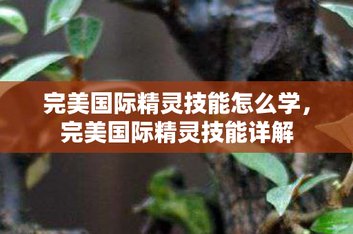 完美国际精灵技能怎么学,完美国际精灵技能详解 完美国际精灵技能怎么学,完美国际精灵技能详解