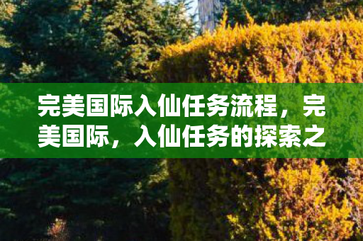 完美国际入仙任务流程,完美国际,入仙任务的探索之旅 完美国际入仙任务流程,完美国际,入仙任务的探索之旅
