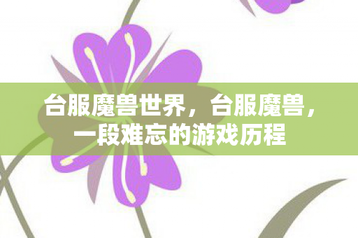 台服魔兽世界，台服魔兽，一段难忘的游戏历程