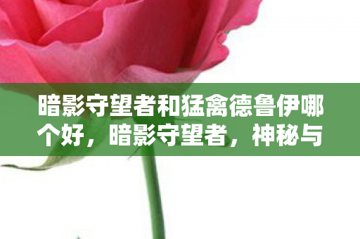 暗影守望者和猛禽德鲁伊哪个好,暗影守望者,神秘与力量的交织 暗影守望者和猛禽德鲁伊哪个好,暗影守望者,神秘与力量的交织