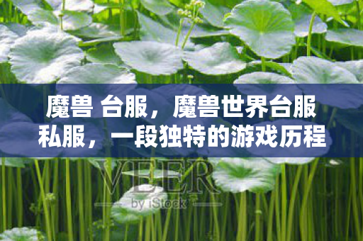 魔兽 台服，魔兽世界台服私服，一段独特的游戏历程