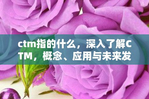 ctm指的什么，深入了解CTM，概念、应用与未来发展