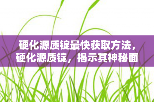 硬化源质锭最快获取方法，硬化源质锭，揭示其神秘面纱