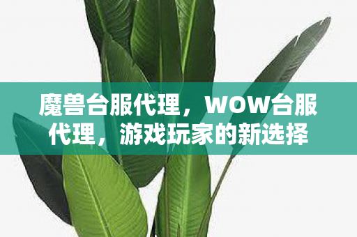 魔兽台服代理,WOW台服代理,游戏玩家的新选择 魔兽台服代理,WOW台服代理,游戏玩家的新选择
