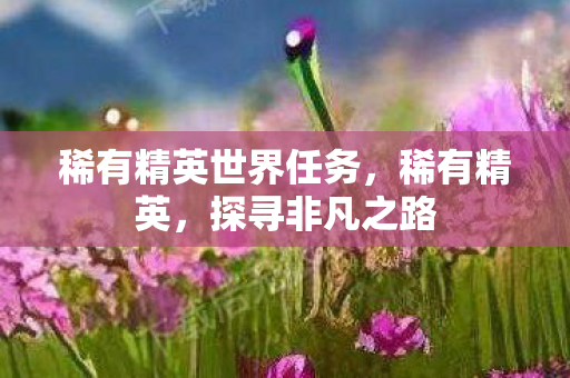 稀有精英世界任务,稀有精英,探寻非凡之路 稀有精英世界任务,稀有精英,探寻非凡之路