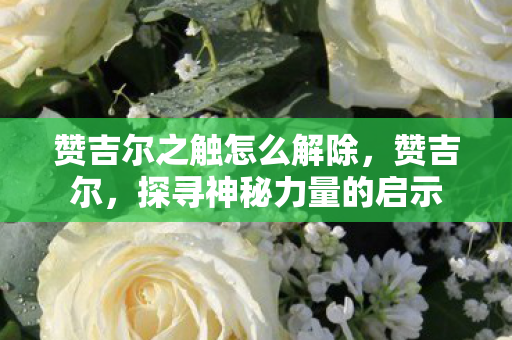 赞吉尔之触怎么解除,赞吉尔,探寻神秘力量的启示 赞吉尔之触怎么解除,赞吉尔,探寻神秘力量的启示