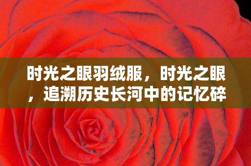 时光之眼羽绒服，时光之眼，追溯历史长河中的记忆碎片