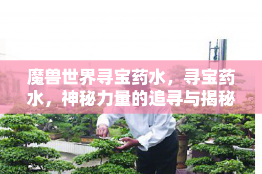 魔兽世界寻宝药水，寻宝药水，神秘力量的追寻与揭秘