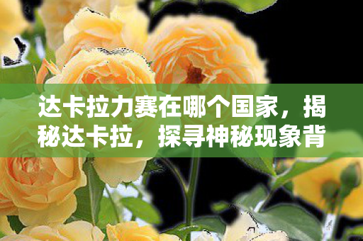 达卡拉力赛在哪个国家，揭秘达卡拉，探寻神秘现象背后的真相