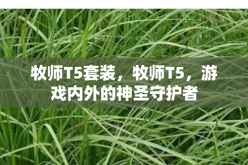 牧师T5套装,牧师T5,游戏内外的神圣守护者 牧师T5套装,牧师T5,游戏内外的神圣守护者