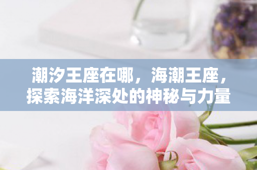 潮汐王座在哪,海潮王座,探索海洋深处的神秘与力量 潮汐王座在哪,海潮王座,探索海洋深处的神秘与力量
