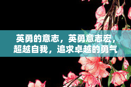 英勇的意志，英勇意志宏，超越自我，追求卓越的勇气与毅力