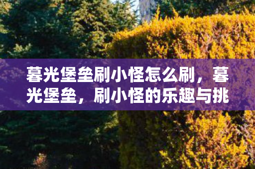 暮光堡垒刷小怪怎么刷,暮光堡垒,刷小怪的乐趣与挑战 暮光堡垒刷小怪怎么刷,暮光堡垒,刷小怪的乐趣与挑战