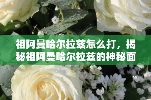 祖阿曼哈尔拉兹怎么打,揭秘祖阿曼哈尔拉兹的神秘面纱 祖阿曼哈尔拉兹怎么打,揭秘祖阿曼哈尔拉兹的神秘面纱