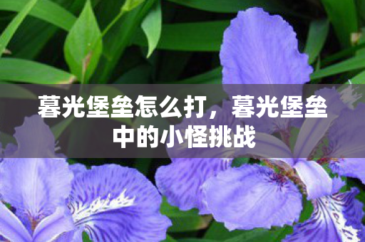暮光堡垒怎么打,暮光堡垒中的小怪挑战 暮光堡垒怎么打,暮光堡垒中的小怪挑战