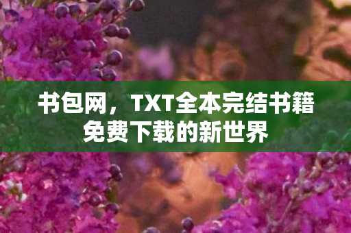 书包网,TXT全本完结书籍免费下载的新世界 书包网,TXT全本完结书籍免费下载的新世界
