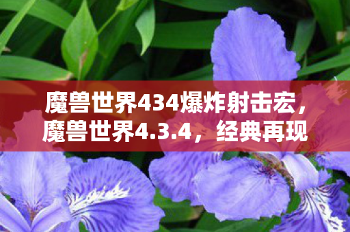 魔兽世界434爆炸射击宏,魔兽世界4.3.4,经典再现,怀旧玩家的独特体验 魔兽世界434爆炸射击宏,魔兽世界4.3.4,经典再现,怀旧玩家的独特体验