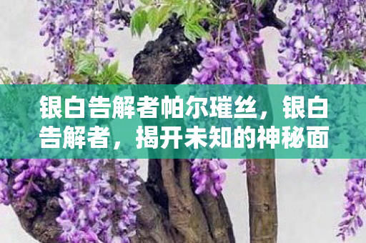 银白告解者帕尔璀丝，银白告解者，揭开未知的神秘面纱
